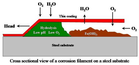 filiform corrosion,underfilm corrosion,crevice corrosion